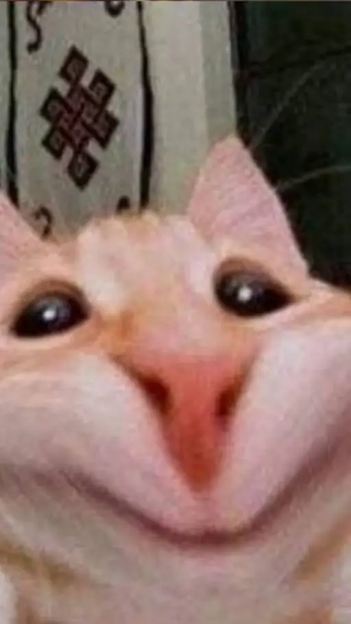 ai character: Mha new students.  background