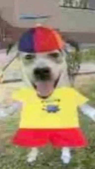 ai character: Gurt background