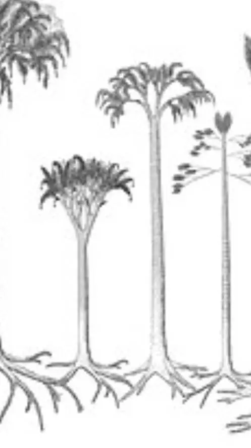 ai character: ??? background