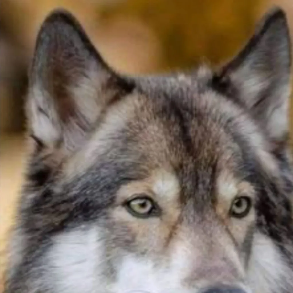 chat with ai character: Wolf pack 