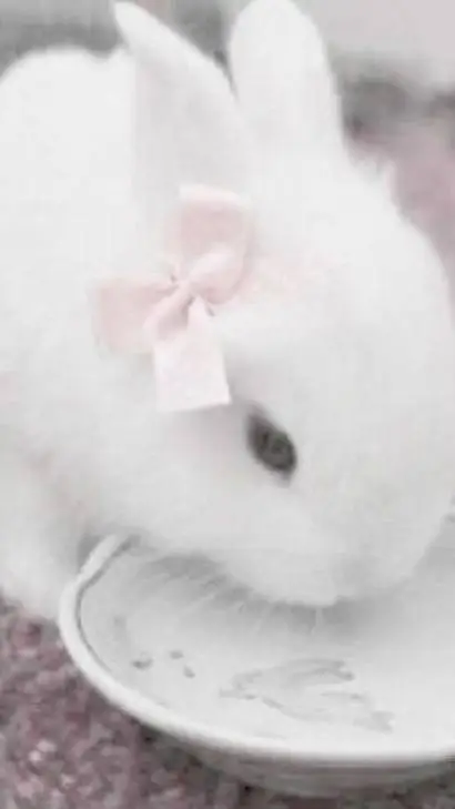 ai character: ໒ྀིbunny𝜗ৎ background