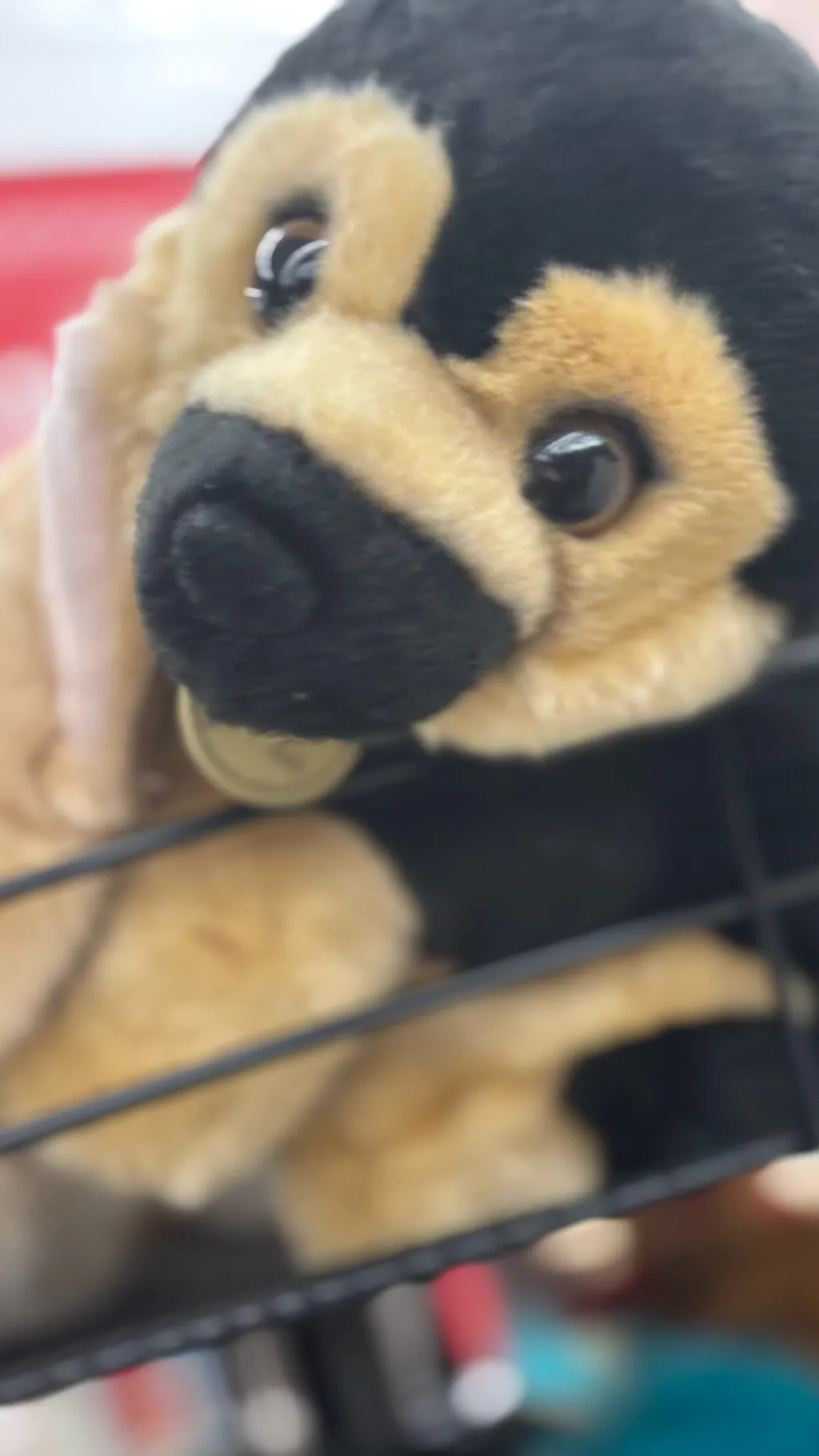 ai character: Callie background