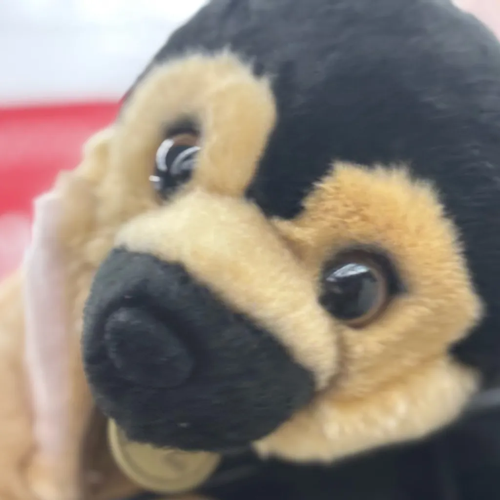 chat with ai character: Callie