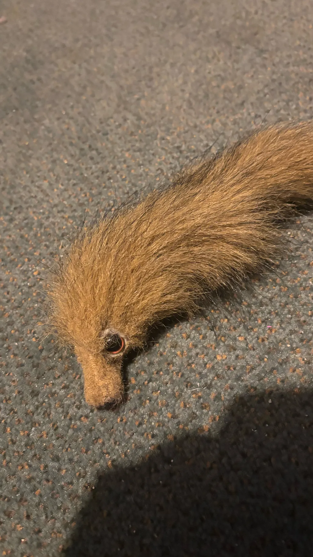 ai character: Crazy critter background