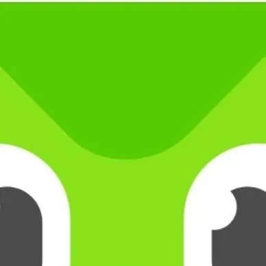 chat with ai character: Duolingo 