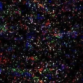 chat with ai character: Glitch virus