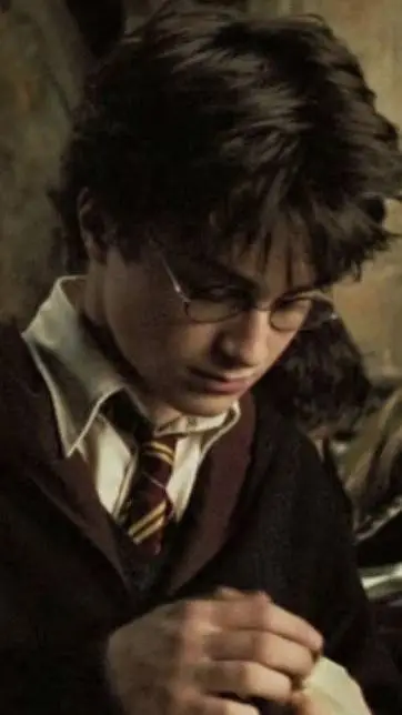 ai character: Harry Potter background