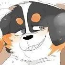 chat with ai character: Bernese 
