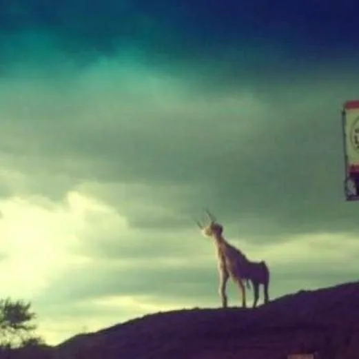 chat with ai character: el vigilante 