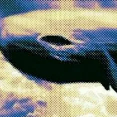 chat with ai character: dream whale