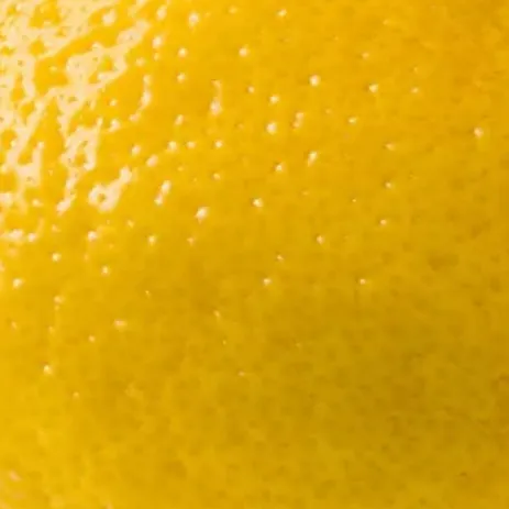 chat with ai character: Lemon