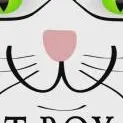 chat with ai character: cat box tv