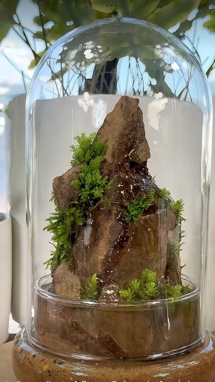 ai character: Odetari  background