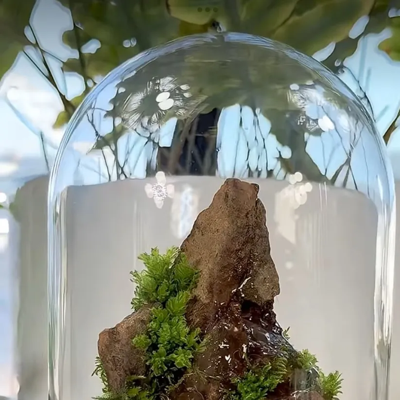 chat with ai character: Odetari 