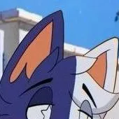chat with ai character: 🇨🇱🇨🇱Gato Chile🇨🇱🇨🇱