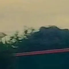 chat with ai character: Moonflower🥳