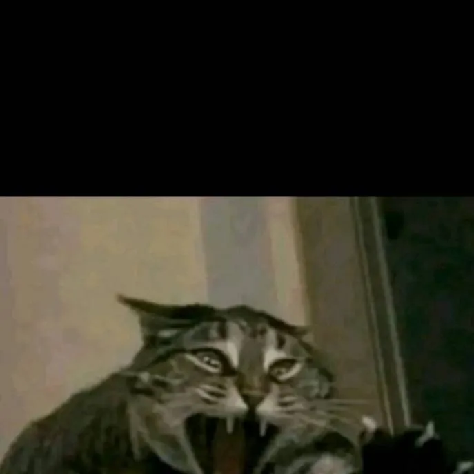 chat with ai character: Dandy Date Astro