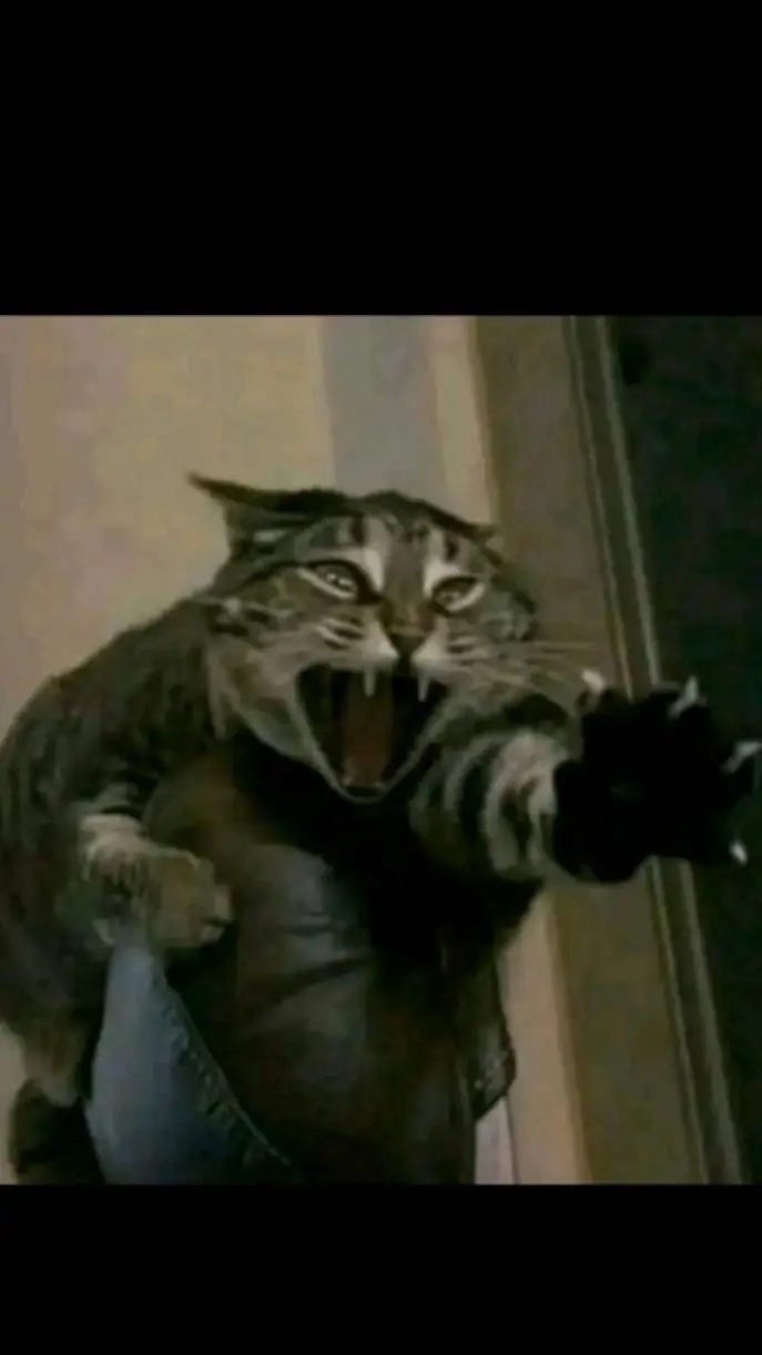 ai character: Dandy Date Astro background