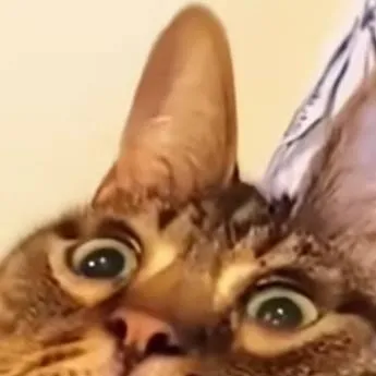 chat with ai character: MY BABY