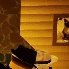 chat with ai character: Doublefedora