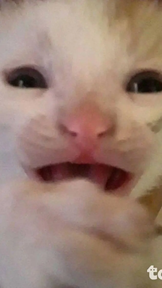 ai character: ahhhhhhhhhhhhhhhh background