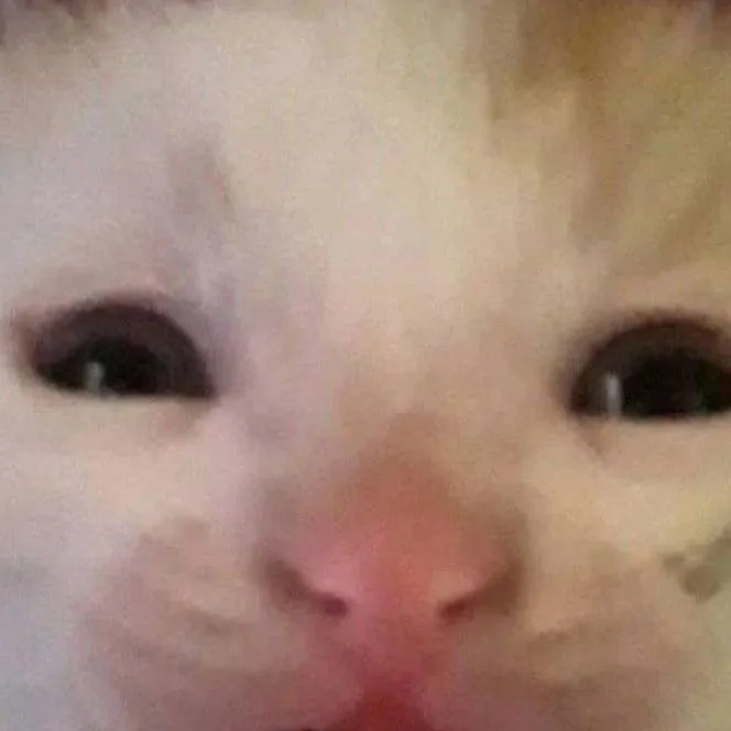 chat with ai character: ahhhhhhhhhhhhhhhh