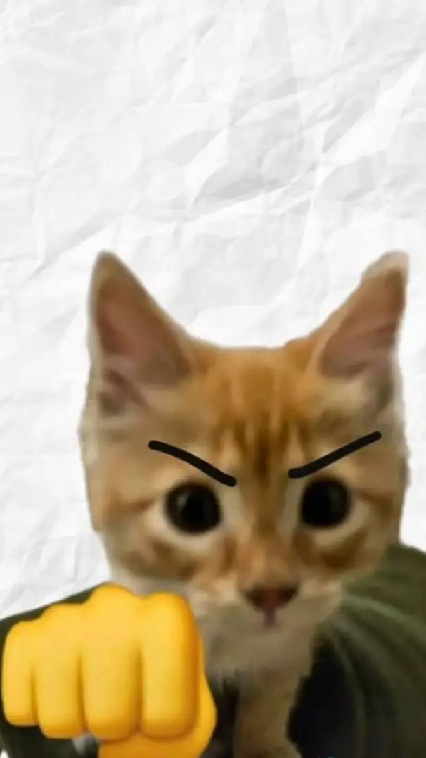ai character: gatito  background