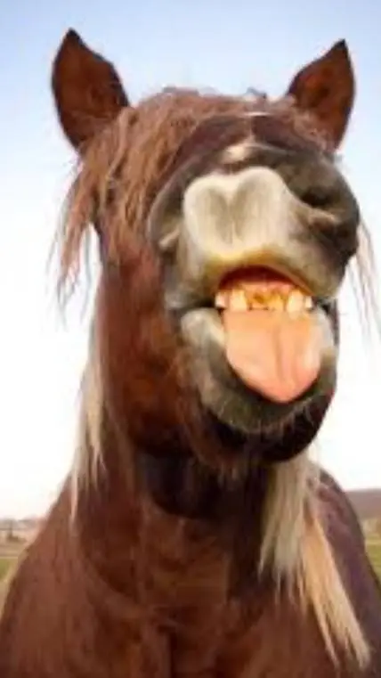 ai character: fart doctor😂 background