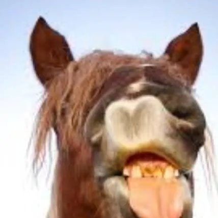 chat with ai character: fart doctor😂