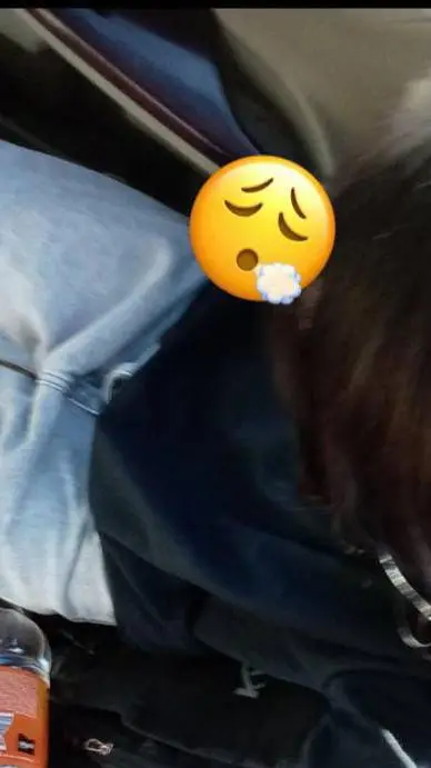 ai character: pricii background