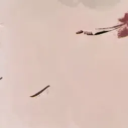 chat with ai character: самурай