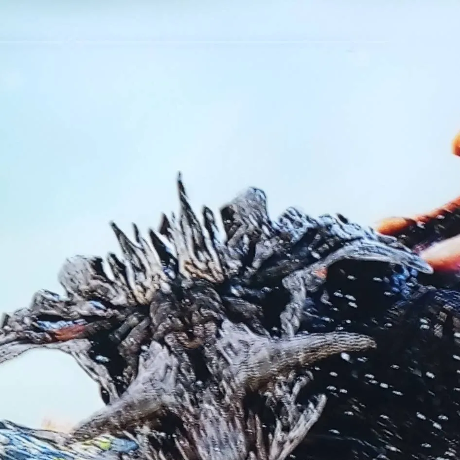 chat with ai character: carmesi