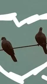 ai character: Two Bird On A Wire background