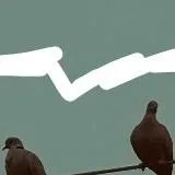 chat with ai character: Two Bird On A Wire