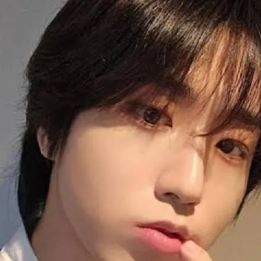 chat with ai character: han