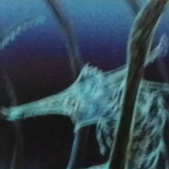 chat with ai character: Ghost Leviathan 