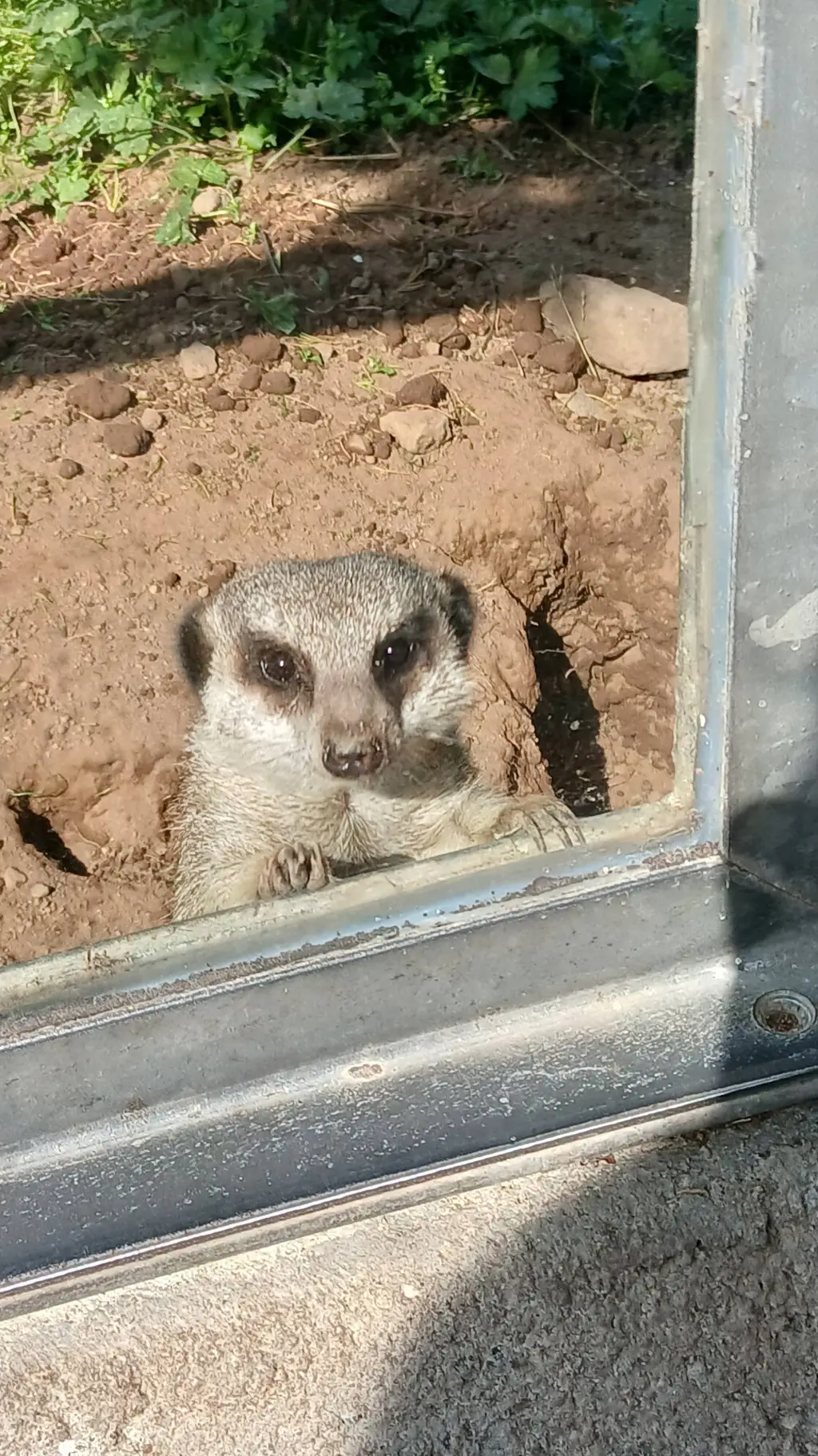 ai character: skz !!! background