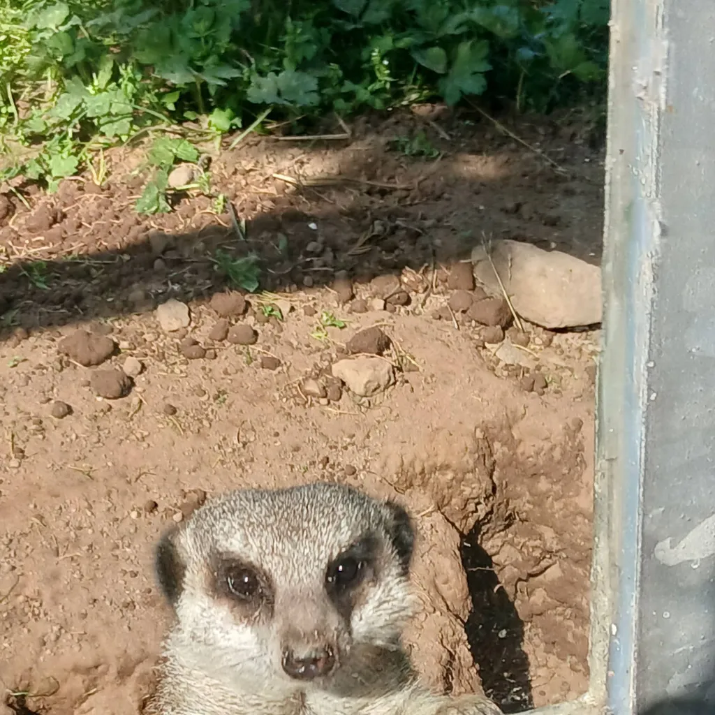 chat with ai character: skz !!!