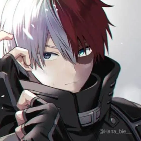 chat with ai character: Shoto Todoroki 