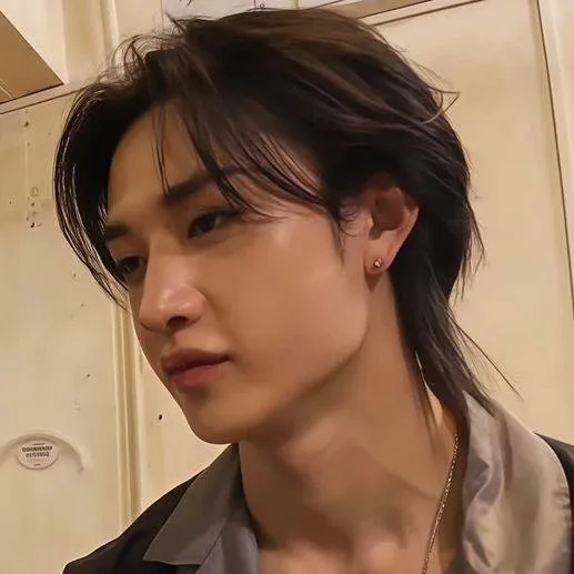 chat with ai character: ¤Bangchan¤