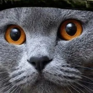 chat with ai character: Т-25