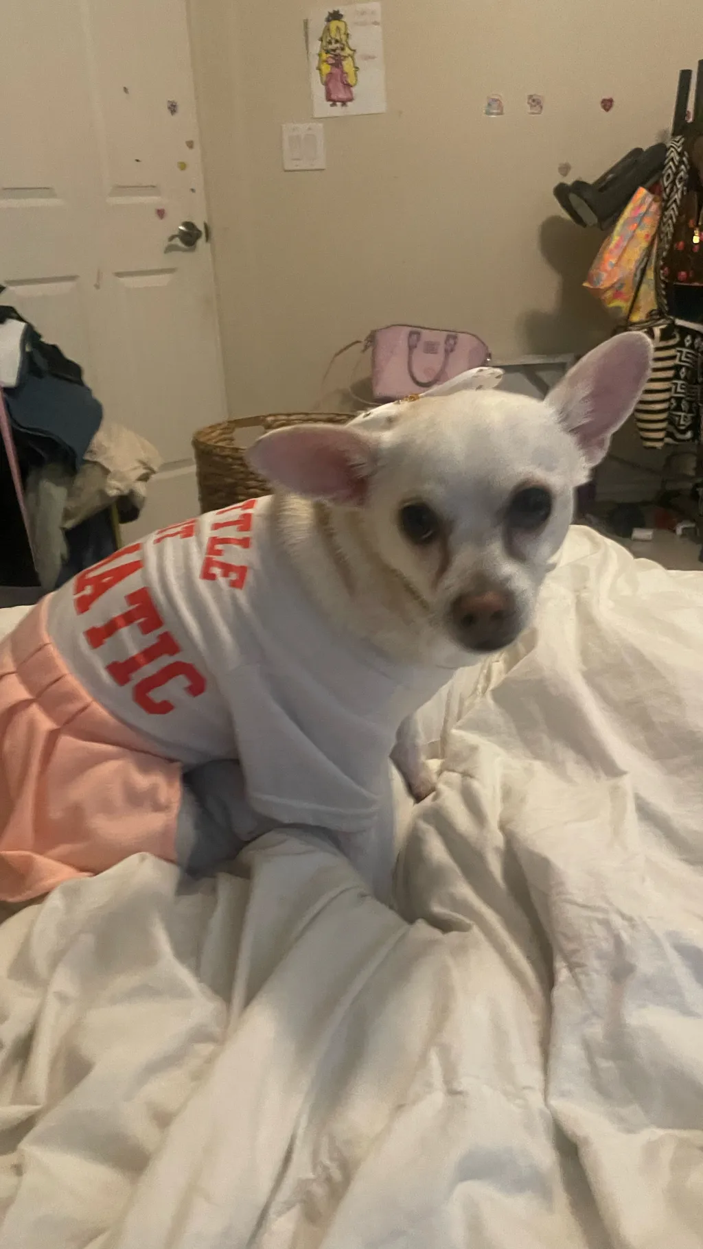 ai character: Elsa  background