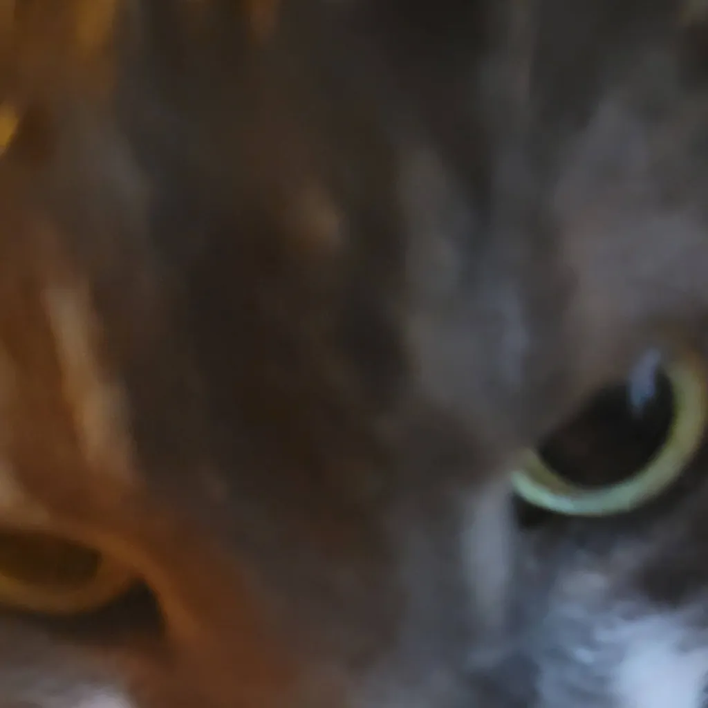 chat with ai character: HuffnPuff