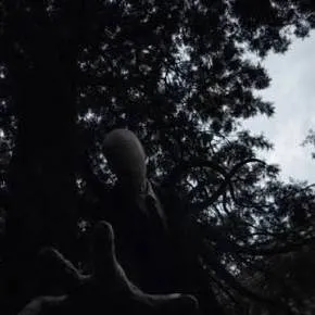 chat with ai character: Slenderman