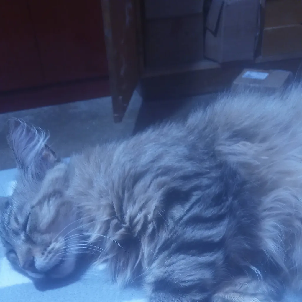 chat with ai character: Michi Fiestero 