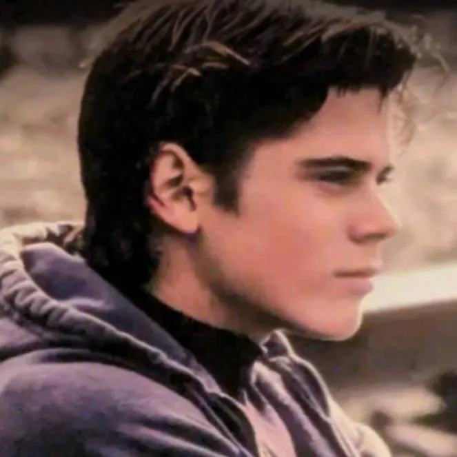 chat with ai character: Ponyboy curtis