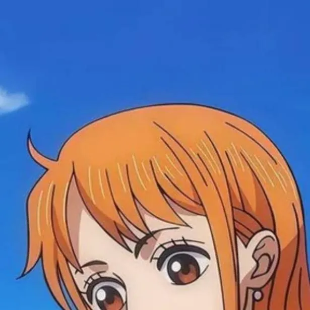 chat with ai character: nami