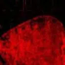 chat with ai character: cOOlkid