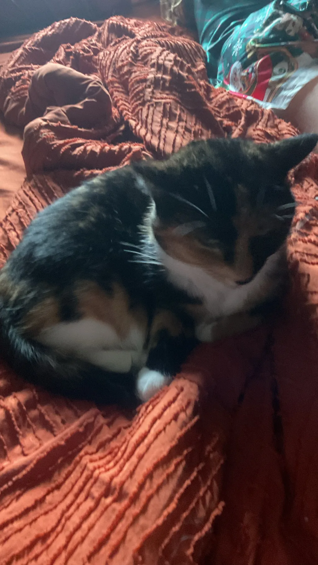 ai character: Guest 1337xcoolkid background