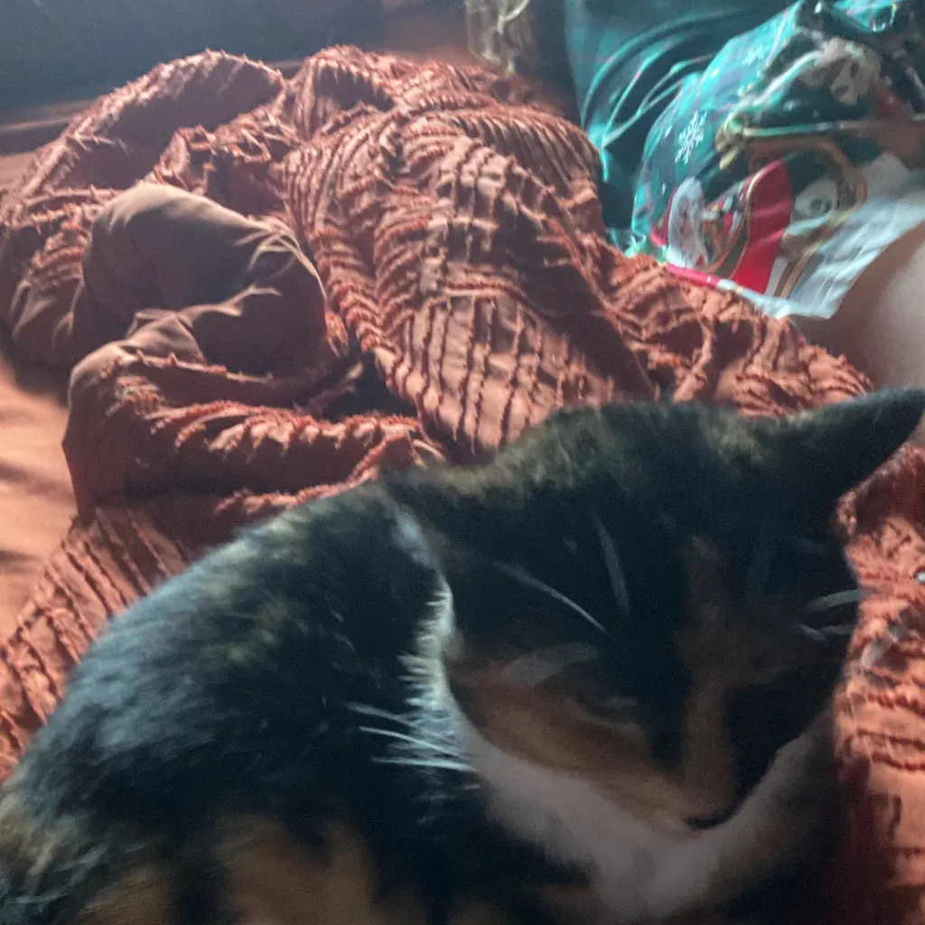 chat with ai character: Guest 1337xcoolkid